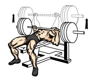 Bench Press: Ensure transition onto bench is done with hip hinge; able to manage entire movement without arching low back or curling upper torso;   Use two free weights (or theraband), not a barbell
