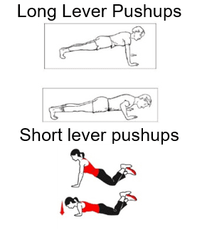 Pushups: Keep back in proper alignment throughout – taking particular care in the transitions in & out of starting point.